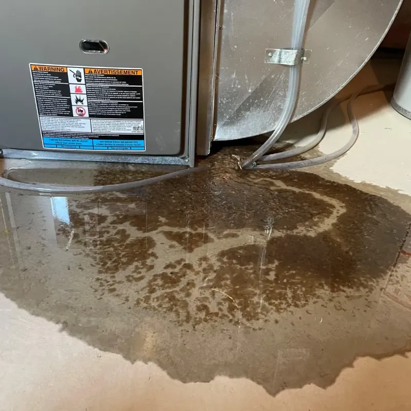 Appliance Leak Cleanup in Posey County, IN